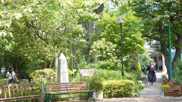 DSC06402.png